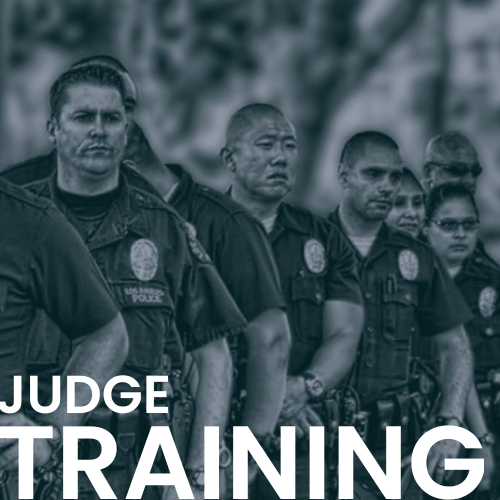 Judge Brady Training